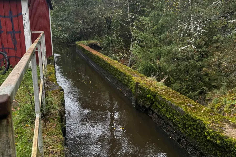 Säännöstelysysteemi